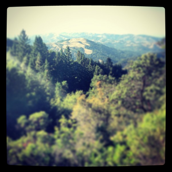 View of the Mt. Tam foothills