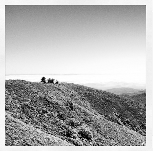 Mt Tam black & white